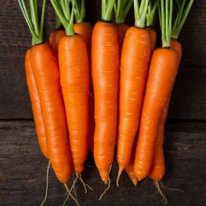 Fresh Carrot for bulk orders